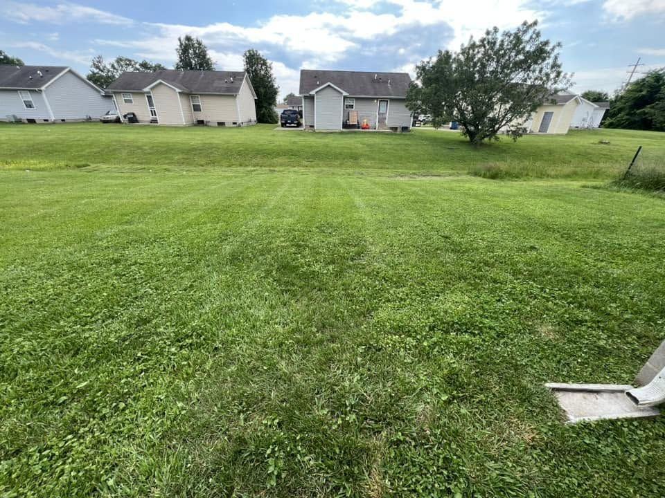 Big freshly mowed backyard, houses behind