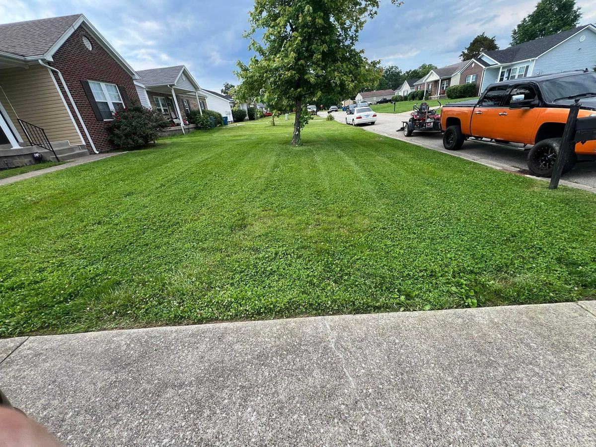 Mowed front yard with a shade tree, the truck and trailer parked at the curb